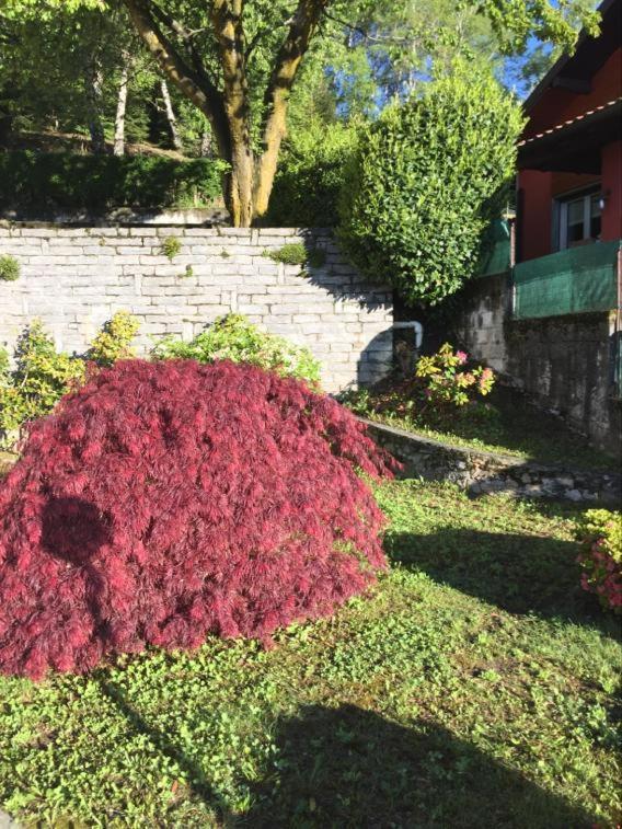 Villa Assunta Premeno 外观 照片